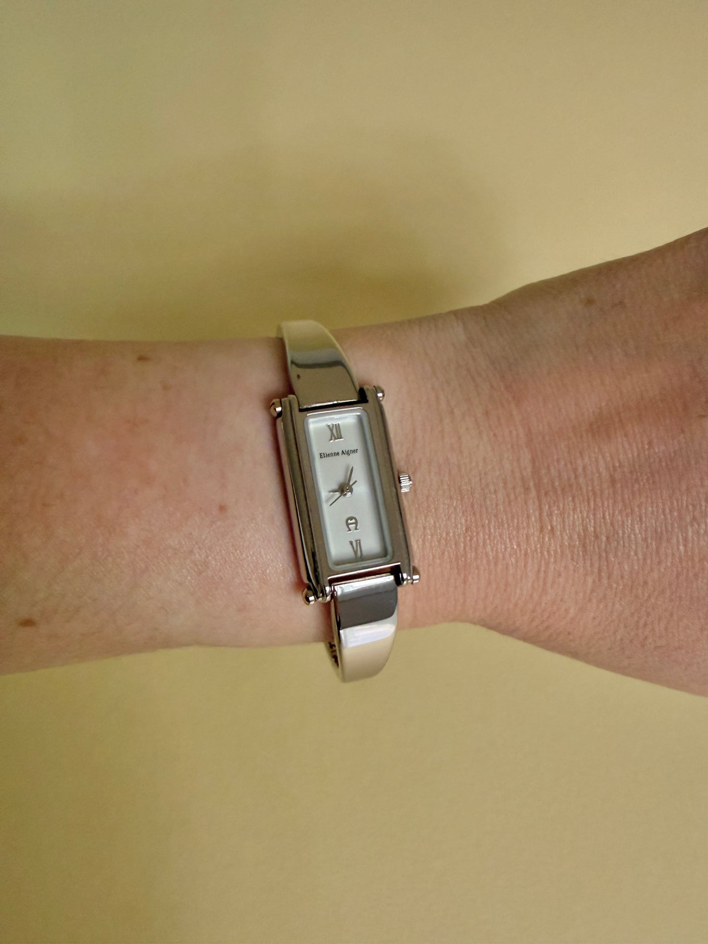 ETIENNE AIGNER — Rectangular Silver Tone Horsebit Bracelet